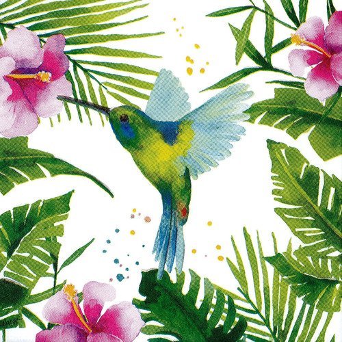 Serviette pastel oiseau colibri dans les fleurs tropicales hibiscus
