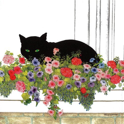 Serviette le chat noir dans les fleurs sur le balcon