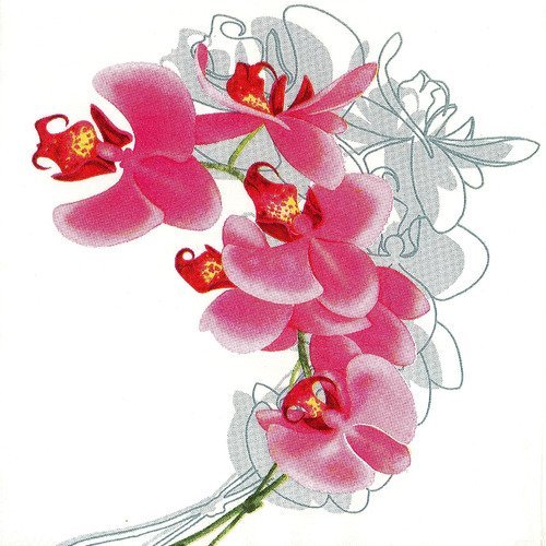 Serviette branche d'orchidée sur son esquisse au crayon