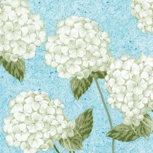 Serviette tableau de fleur d'hortensia blanc