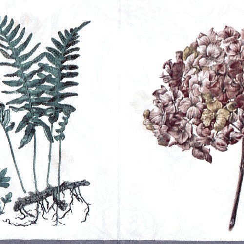 Serviette hortensia et oiseau hydrangea sittidae