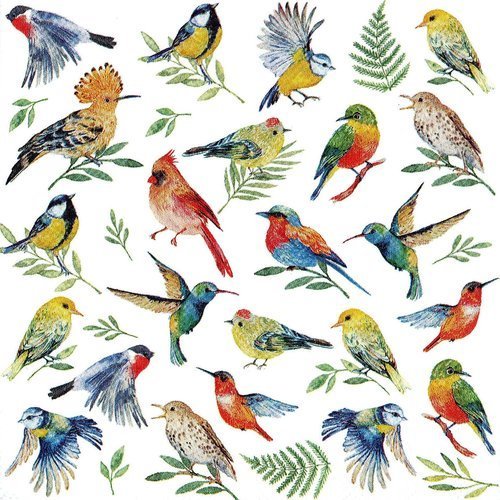 Serviette tableau oiseaux exotiques multicolors