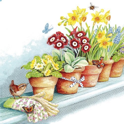 Serviette etagère du jardin avec les pots de primevères et petit oiseau