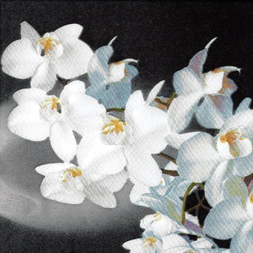 Serviette branche d'orchidée blanche 