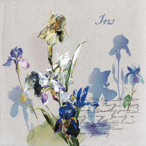 Serviette lettre iris aquarelle