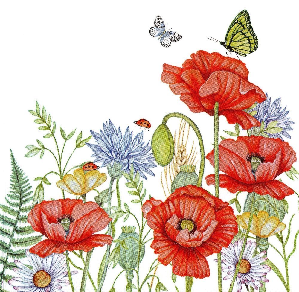 Serviette Bouquet Des Champs Coquelicots Bleuets Coccinelles Un Grand Marche