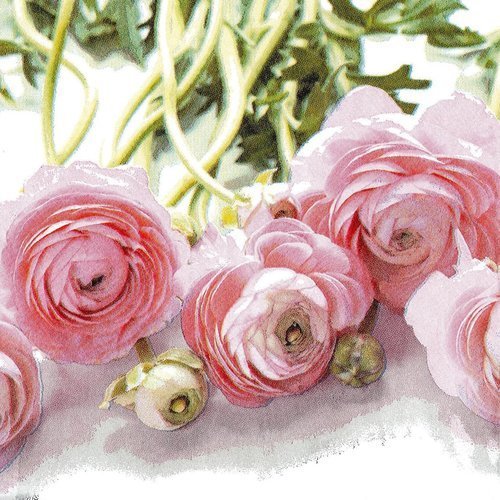 Serviette bouquet de renoncules roses