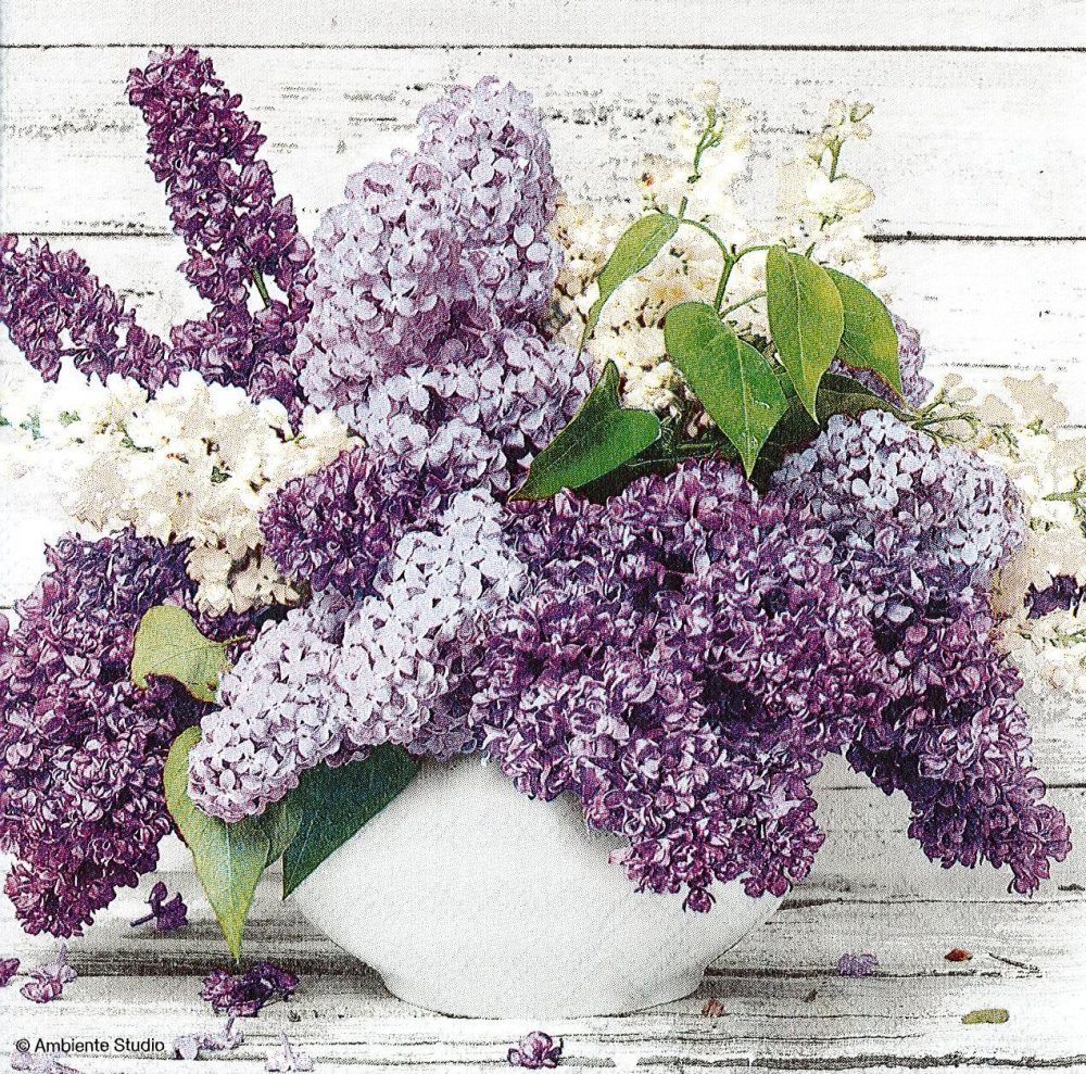 Serviette vase de lilas blanc et mauve shabby chic - Un grand marché