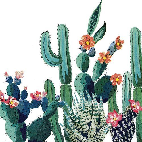 Serviette jardin de  cactus arizona désert