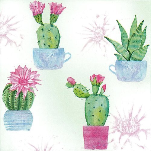 Serviette tableau aquarelle cactus plante grasse 