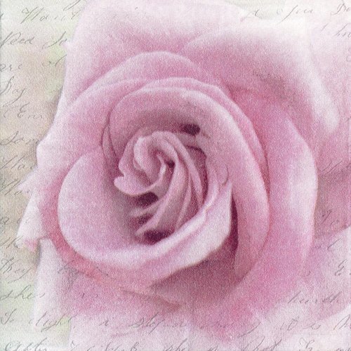Serviette grande rose poudrée sur fond ecriture romantique