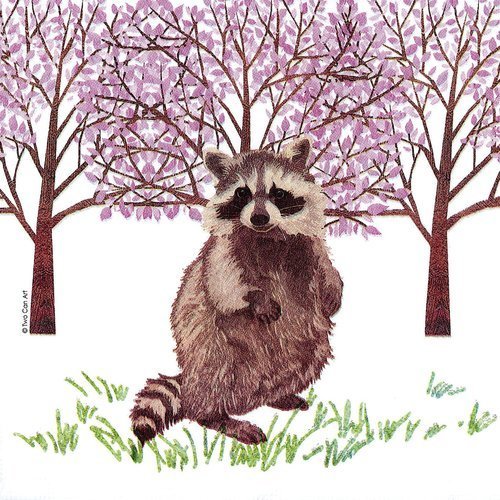 Serviette raton laveur raccoon dans la forêt au printemps 