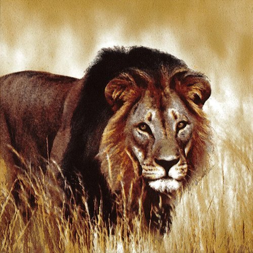 Serviette le lion roi de la jungle chasse dans la savane