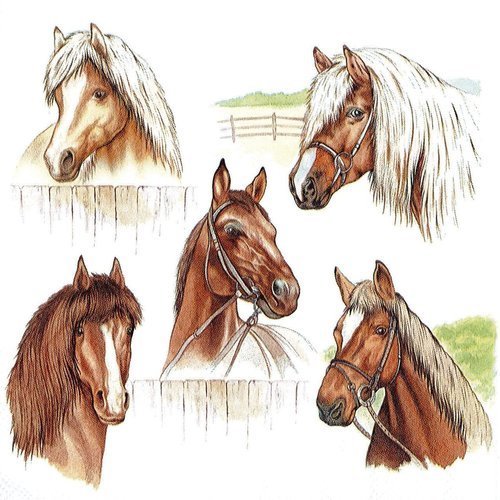Serviette portrait de chevaux