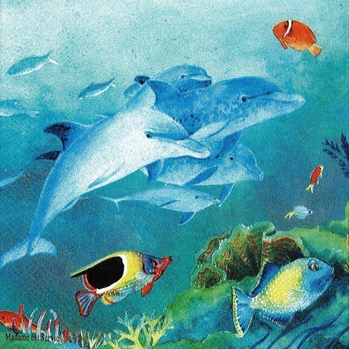 Serviette papier dauphin au milieu des poissons et corail