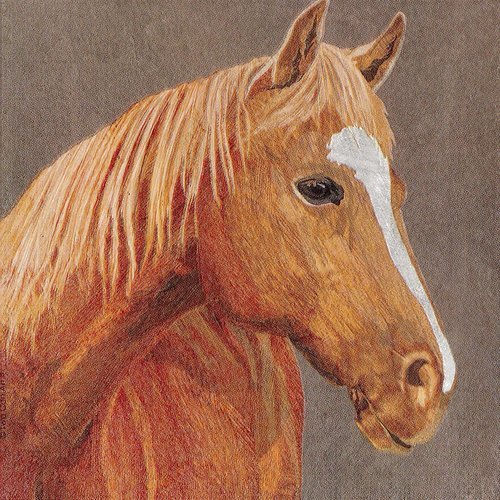 Serviette papier portrait de cheval marron bllefire