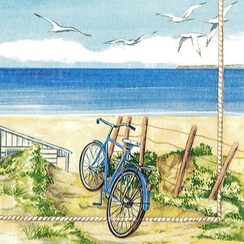 Serviette papier vélo bleu sur la plage cabine de bain