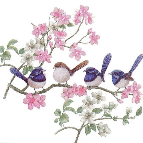 Serviette papier petit oiseau bleu fleur de cerisiers