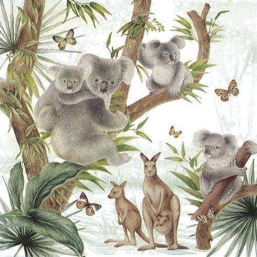 Serviette papier famille kangourou et koala buch australie