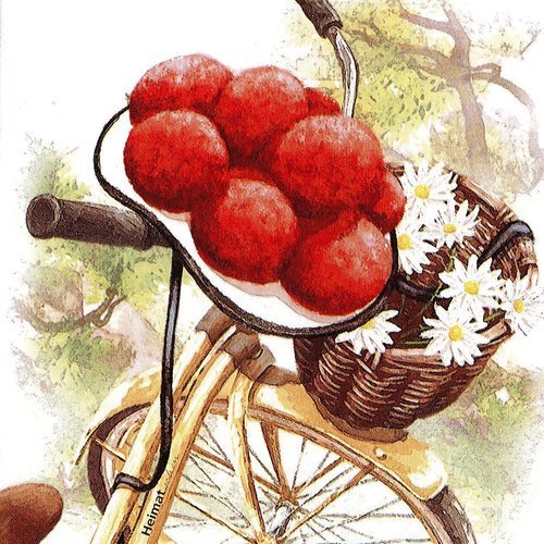 Serviette papier vélo panier bouquet de margueritte heimat chapeau tyrol