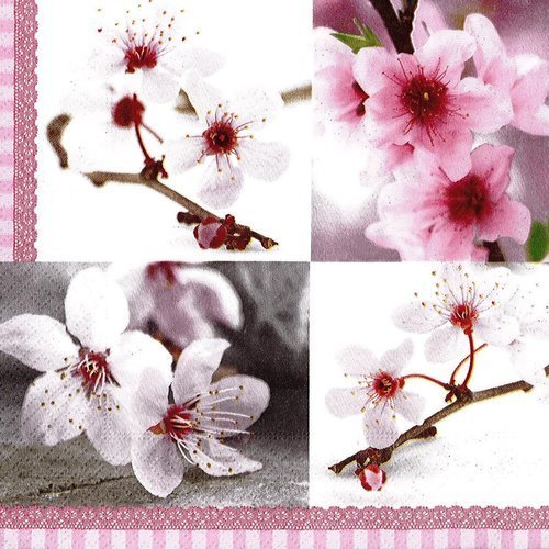 Serviette papier fleur de printemps cerisier pommier
