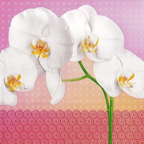 Serviette papier orchidée blanche sur décor rose