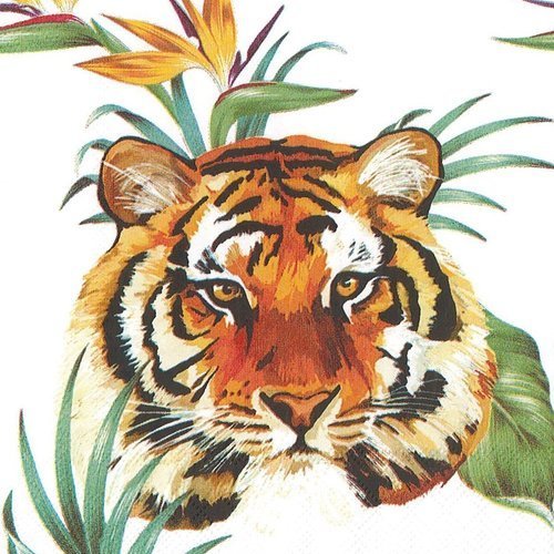 Petite serviette 25x25 tigre de bengale dans la foret tropicale