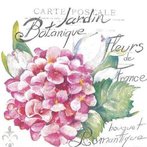 Serviette papier carte postale hortensia jardin botanique paris