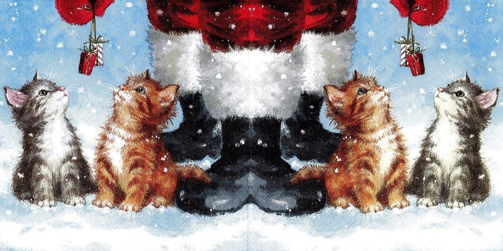 Boite cadeau Noël, chat Père Noël, boutique cadeau chat
