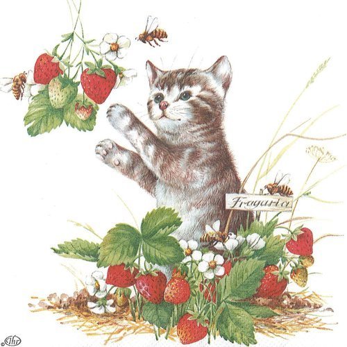 Serviette petit chat gourmand dans les fraises avec l'abeille