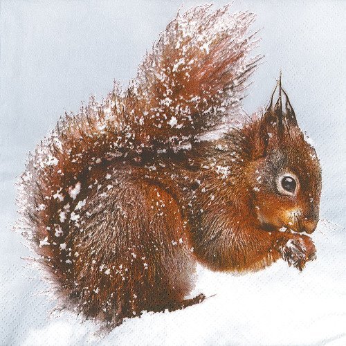Serviette papier ecureuil et sa noisette paysage de neige