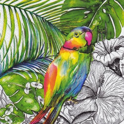 Serviette perroquet multicolore sous les tropiques 