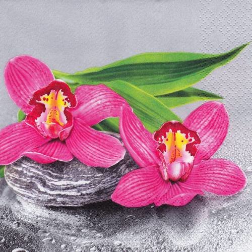 Serviette fleur d'orchidée sur les galets zen 