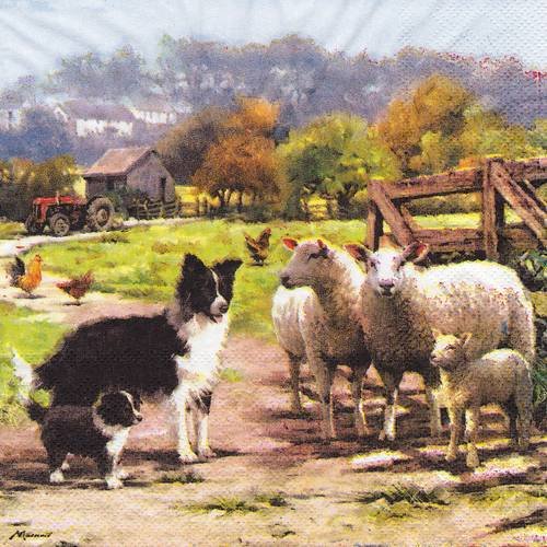 Serviette le gardien de moutons border collie 