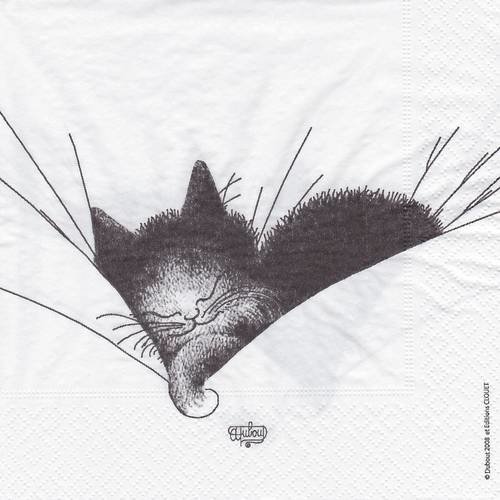 Serviette chat gros dodo 