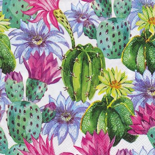 Serviette myriade de cactus multicolors 