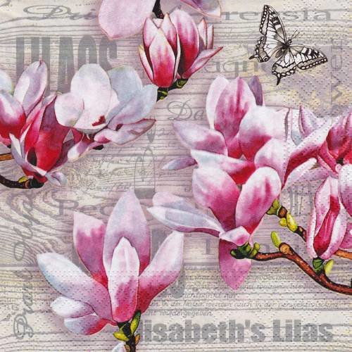 Serviette branche de magnolia et papillons sur journal