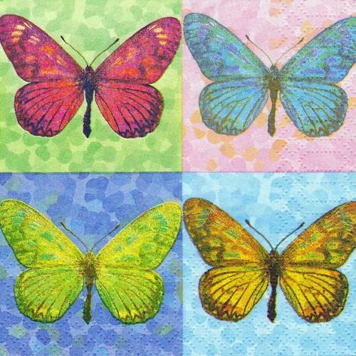 Petite serviette 25x25 tableau de papillons 