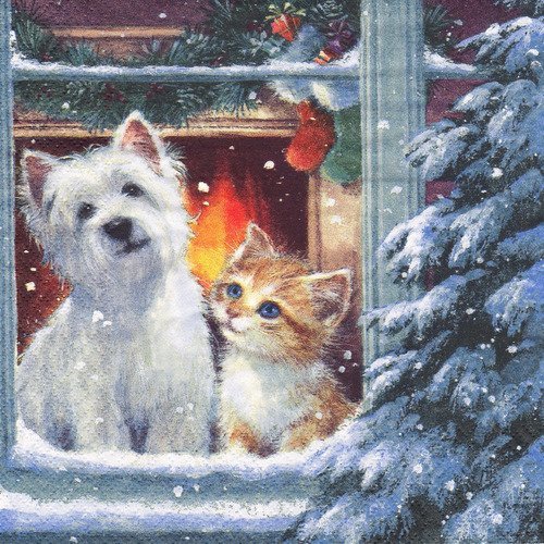 Serviette westie et petit chat attendent le père noël à la fenêtre
