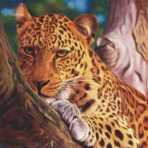 Serviette le repos du léopard dans les arbres 