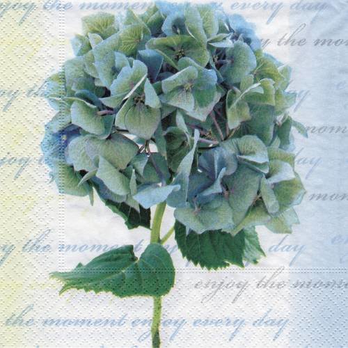 Serviette fleur d'hortensia bleu sur fond de lettre 