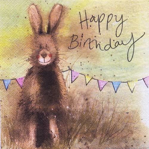 Serviette joli lapin lièvre dans les herbes happy birthday ac