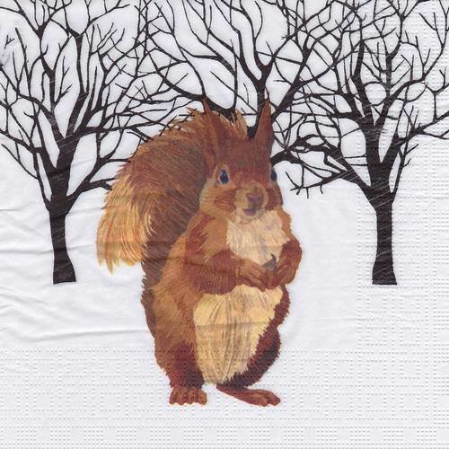 Serviette ecureuil dans la fôret en hiver