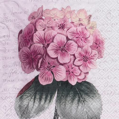 Serviette fleur d'hortensia rose sur fond de lettre 