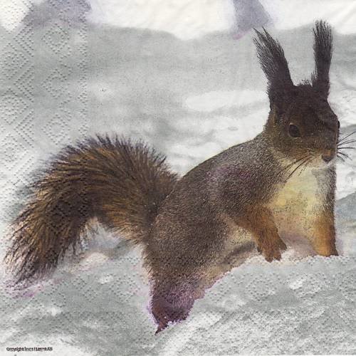 Serviette ecureuil dans la neige 