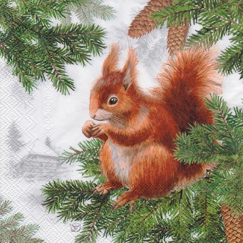 Serviette petit ecureuil dans les pins chalet à la montagne
