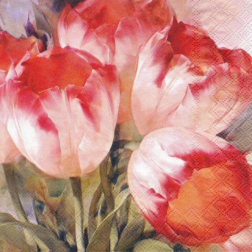 Serviette tulipe pastel 