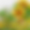Serviette tournesol et fleurs jaunes 