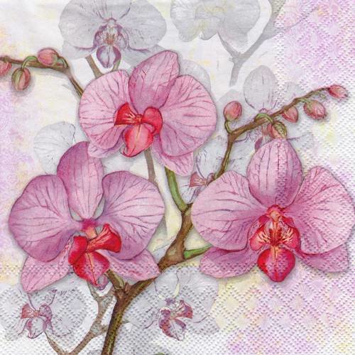 Serviette jolie branche d'orchidée pastel 