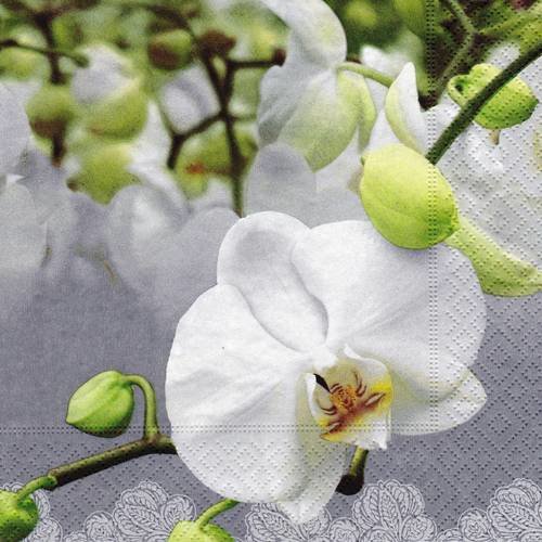 Serviette fleur d'orchidée blanche 